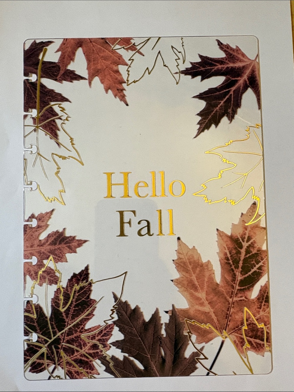 Jane’s Agenda October 2025 Jr Discbound planner cover and page finder - Picture 2 of 6